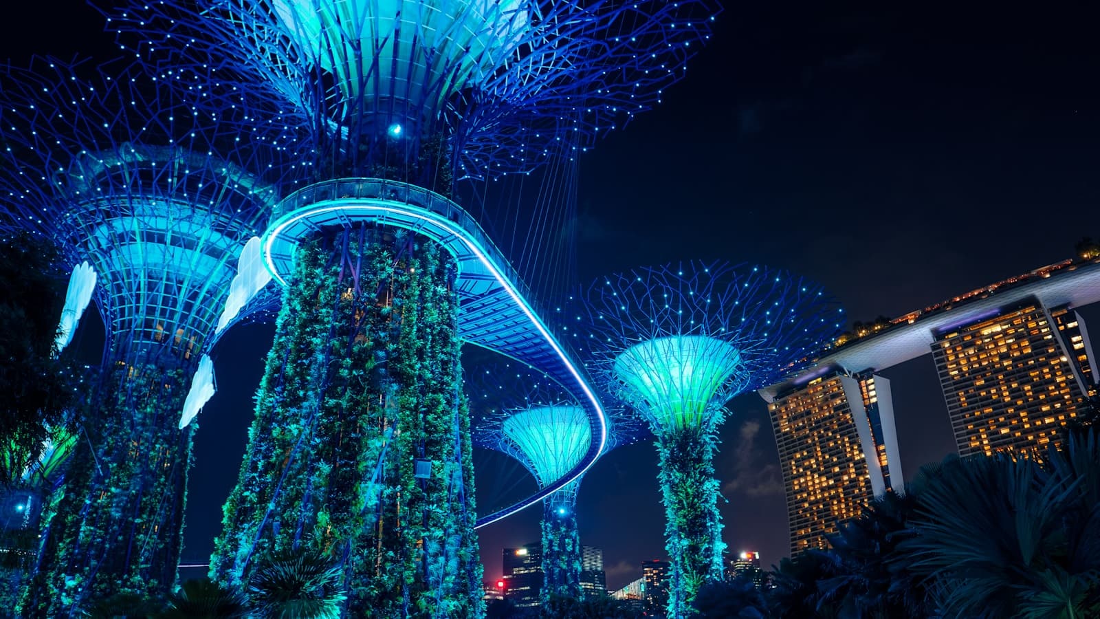 The Supertree Grove lit blue at night, Gardens by the Bay, Singapore